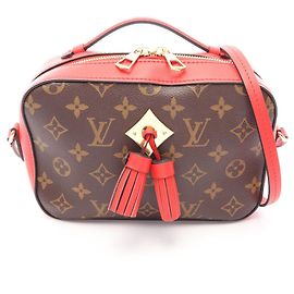 Borsa a Spalla 2-Way Louis Vuitton Saint-Onge Monogram Coquelicot