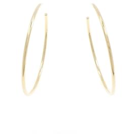 Tiffany & Co Orecchini a cerchio Tiffany 750