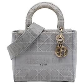 Dior Grigio Medium Tela Ricamata Cannage Lady D Lite