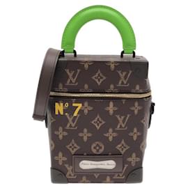 Borsa Louis Vuitton Monogram Vertical Box Trunk