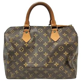 Louis Vuitton Speedy Monogram Canvas 30