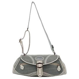 Bolsa de ombro Christian Dior Trotter
