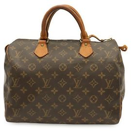 Borsa a mano Louis Vuitton Monogram