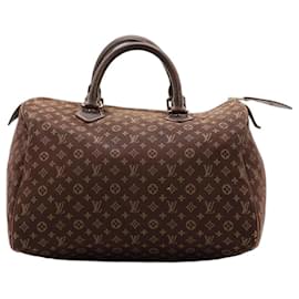 Borsa Louis Vuitton Speedy 30 Monogram Canvas