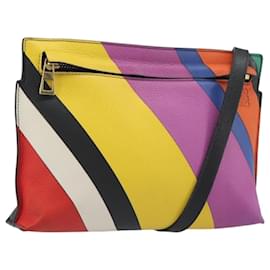 Borsa a Spalla LOEWE in Pelle Multicolore Oro Auth 193351V