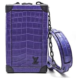 Louis Vuitton Exotic Soft Trunk