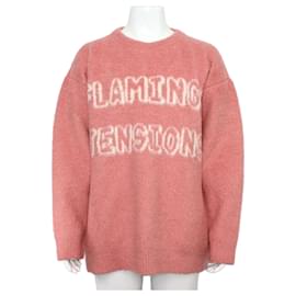 Artist Bazaar Flamingo Logo Unisex Strick - Céline
