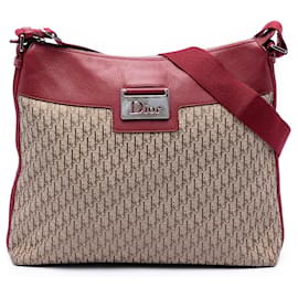 Borsa a tracolla Diorissimo Trotter Canvas Street Chic Marrone Dior