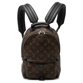 Louis Vuitton Monogram Palm Springs PM Rucksack Braun