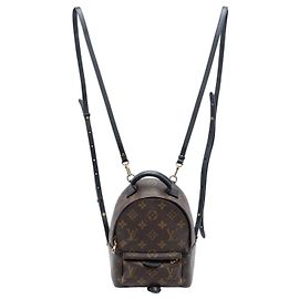 Louis Vuitton Monogram Mini Palm Springs Rucksack Braun