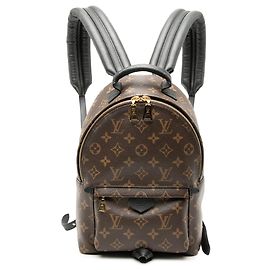 Mochila Louis Vuitton Monogram Palm Springs PM marrón