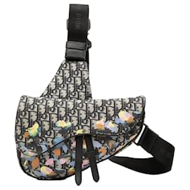 Borsa a tracolla Dior Alex Foxton Oblique Canvas blu