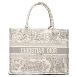 Book Tote Dioriviera en lienzo Dior Toile de Jouy bordado, canvas medio, gris
