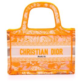 Dioriviera Toile De Jouy Mini Canvas Bestickte Dior Mini Book Tote Handtasche Orange