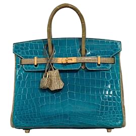 Bolsa HERMES Birkin 25 em Couros Exóticos Cinza - 102990 - Hermès