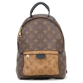 Louis Vuitton Palm Springs Rucksack PM Monogram Reverse