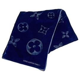 Sciarpa Louis Vuitton Monogram in velluto, rayon e seta