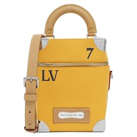 Borsa Louis Vuitton Vertical Box Trunk