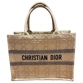 Christian Dior Book Tote Small