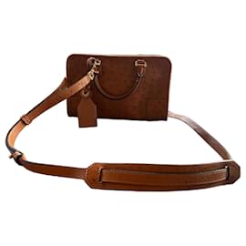 Borsa a mano Loewe Amazona 28 in pelle di struzzo