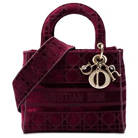 Dior Red Medium Embroidered Velvet Cannage Lady D Lite