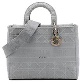 Dior Gray Large Embroidered Canvas Cannage Lady D Lite
