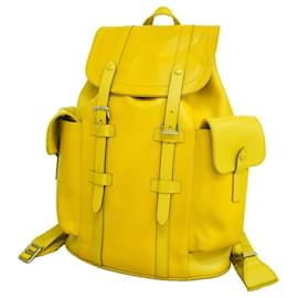Zaino Louis Vuitton Epi Christopher Pistache