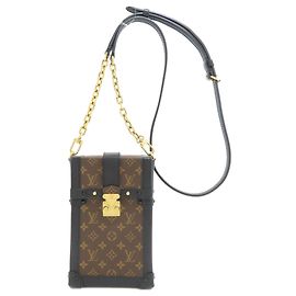 Louis Vuitton Pochette Trunk Vertical Shoulder Bag