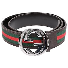 Cintura Gucci Web Signature Logo in pelle marrone
