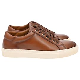 Sneakers basse Ralph Lauren Purple Label in pelle marrone