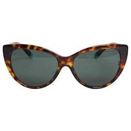 Lunettes de soleil TF4196 écailles de tortue marron - Tiffany & Co