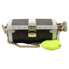 Louis Vuitton Monogram Papillon Trunk Crossbody
