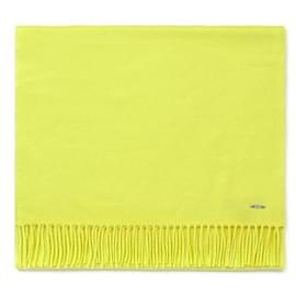 Loro Piana Sciarpa in cashmere Flexon Grande Unita
