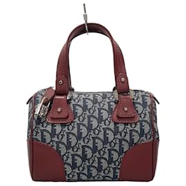 Borsa Tote Oblique Trotter - Dior