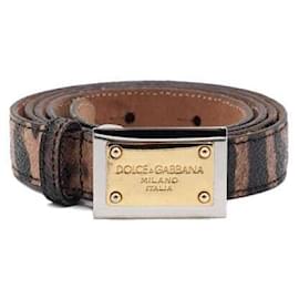 Gold Plate Leopard Strap Women's Belt - Dolce & Gabbana