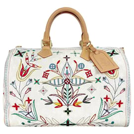 Louis Vuitton Dakota Flower Bandoulière Speedy Canvas