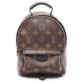 Louis Vuitton Palm Springs Mini Rucksack