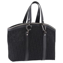 Borsa a Mano Christian Dior Trotter Canvas Nero Argento Auth 195785V