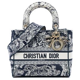 Dior Blue Medium Embroidered Canvas Toile de Jouy Lady D Lite