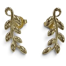 Orecchini Olive Leaf Climber di Tiffany & Co.