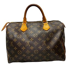 Louis Vuitton Speedy Monogram Canvas 30