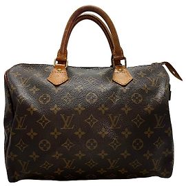 Louis Vuitton Speedy Monogram Canvas 30