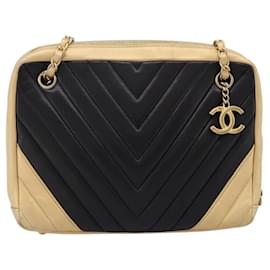 Chanel Camera Chevron Lambskin Medium