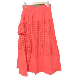 Autre Marque Falda bordada ADORE