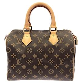 Borsa Boston Monogram Louis Vuitton