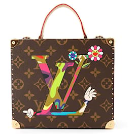Louis Vuitton Monogram Caractère Case