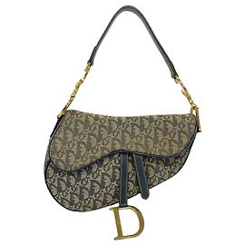 Borsa a mano Christian Dior Trotter Saddle