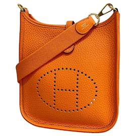 Hermès Borsa a tracolla Hermes Evelyne TPM