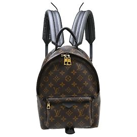 Louis Vuitton Palm Springs Monogram PM