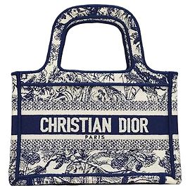Dior Mini Book Tote Tuileries Blue